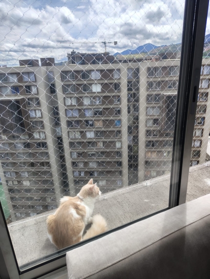 instalacion mallas bogota